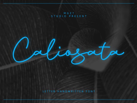 Caliosata: A Handwritten Font That Makes Your Campaign Feel Human
