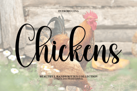 Chickens: A Handwritten Font That Feels Like a Quiet Conversation