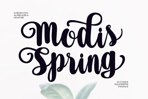 Modis Spring Font: Elegant Handwritten Style for Your Brand